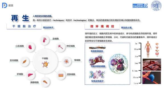 复旦大学国家大学科技园 图片