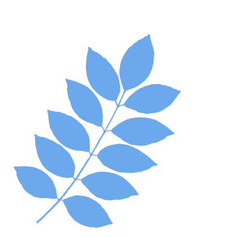 复旦大学国家大学科技园 复旦大学国家大学科技园