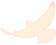 复旦大学国家大学科技园 复旦大学国家大学科技园