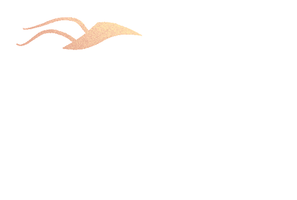复旦大学国家大学科技园