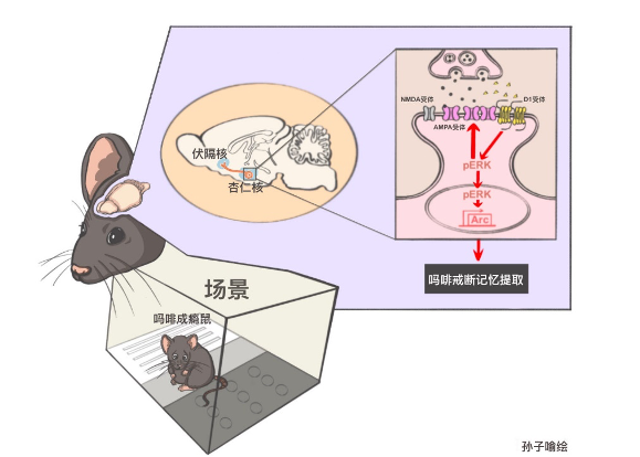 复旦大学国家大学科技园 复旦大学国家大学科技园