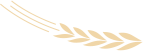 复旦大学国家大学科技园