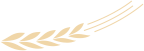 复旦大学国家大学科技园