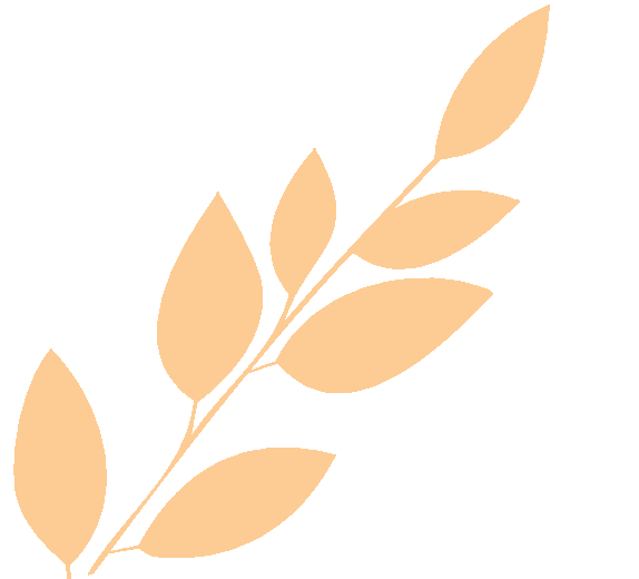 复旦大学国家大学科技园