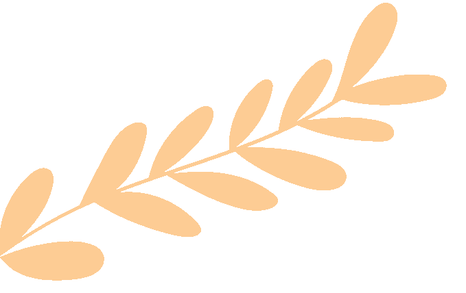 复旦大学国家大学科技园