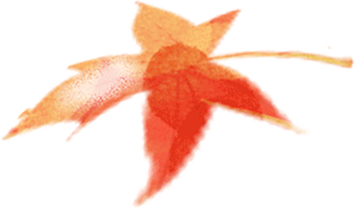 复旦大学国家大学科技园