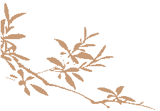 复旦大学国家大学科技园