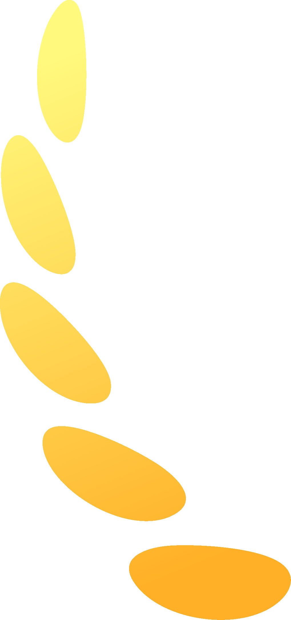 复旦大学国家大学科技园