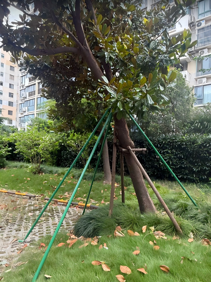 复旦大学国家大学科技园